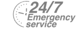 24/7 Emergency Service Pest Control in Bayswater, W2. Call Now! 020 8166 9746