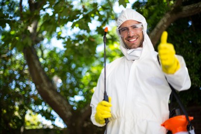 Pest Control in Bayswater, W2. Call Now 020 8166 9746